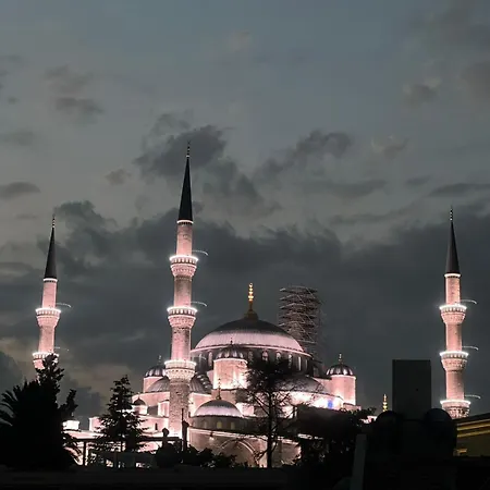 Violin Sultanahmet