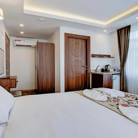 Violin Sultanahmet Estambul