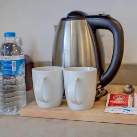 Violin Sultanahmet Hotel *