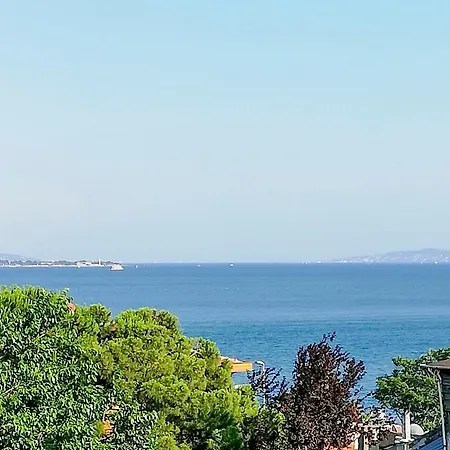 Violin Sultanahmet Hotel Estambul