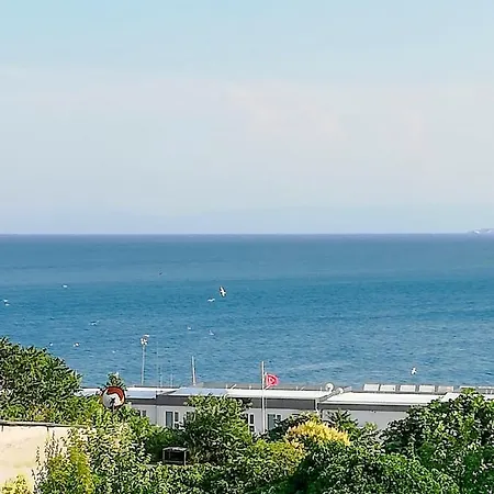 Violin Sultanahmet Estambul