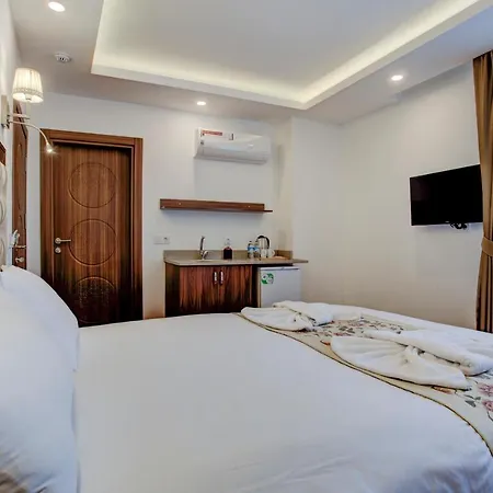 Violin Sultanahmet Hotel *