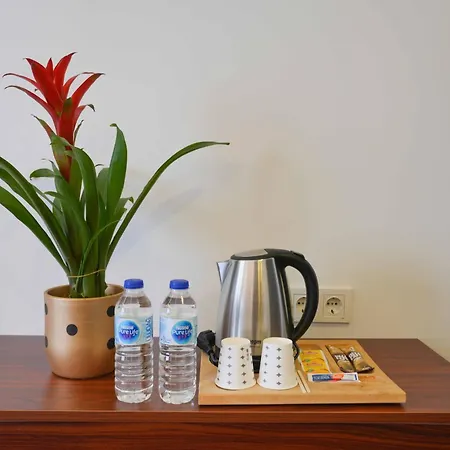 Violin Sultanahmet * Estambul