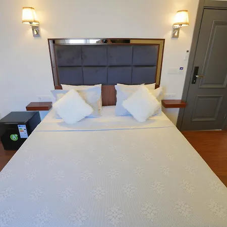 Hotel Violin Sultanahmet Estambul