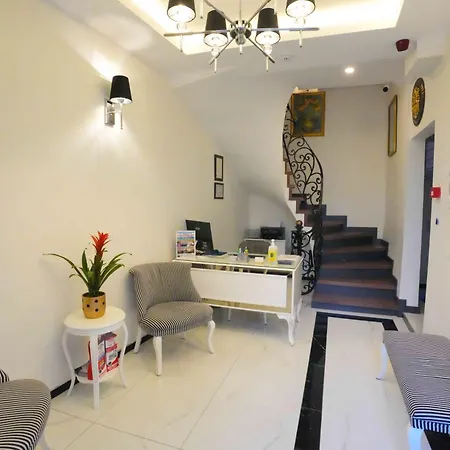 Violin Sultanahmet Estambul