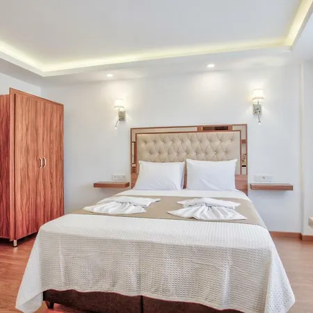 Violin Sultanahmet Hotel Estambul