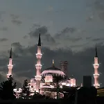 Violin Sultanahmet