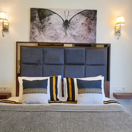 Violin Sultanahmet Istanbulská provincie