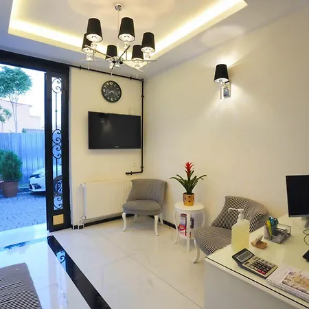 Violin Sultanahmet Hotel *