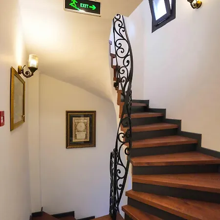 Violin Sultanahmet Istanbulská provincie