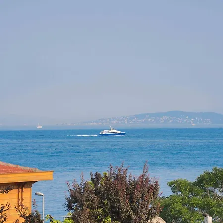 Violin Sultanahmet * Istanbulská provincie
