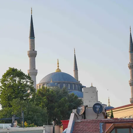 Violin Sultanahmet