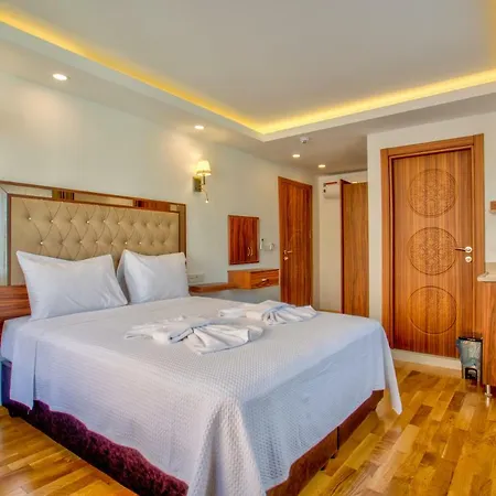 호텔 Violin Sultanahmet