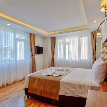 Hotel Violin Sultanahmet *