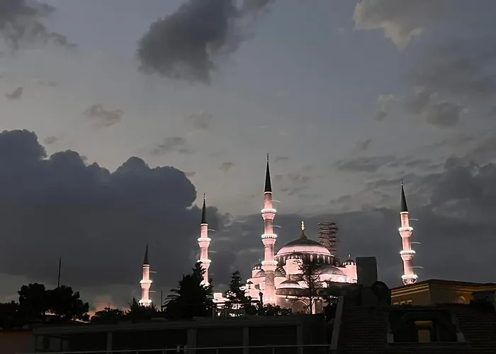 Violin Sultanahmet Hotell