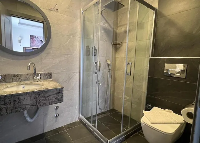 Violin Sultanahmet Hotell *