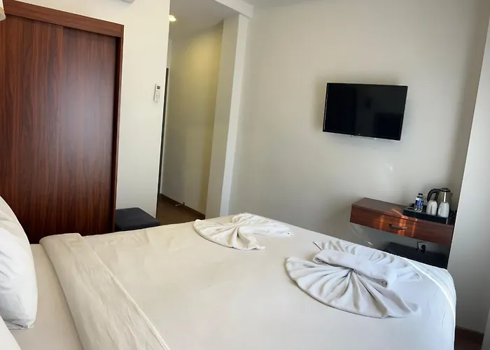 Hotell Violin Sultanahmet *