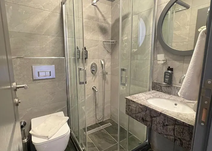 Violin Sultanahmet Hotell Istanbul