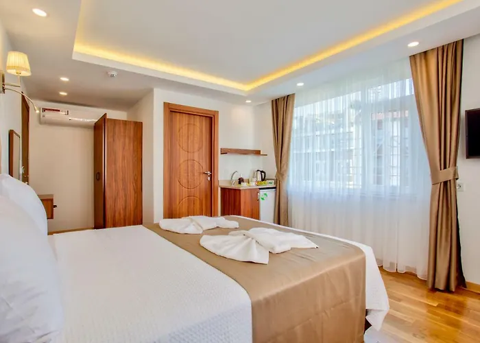 Violin Sultanahmet *