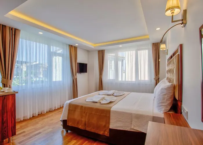 ホテル Violin Sultanahmet *