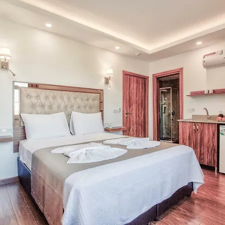 Hotell Violin Sultanahmet *