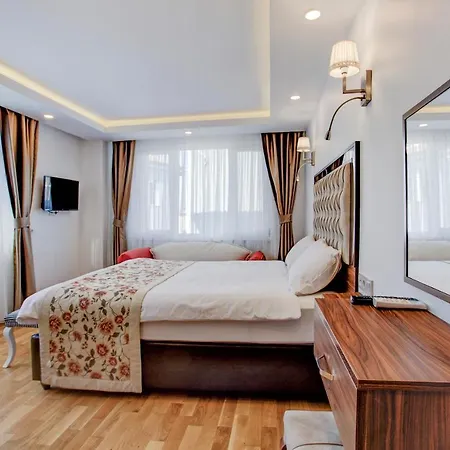 Violin Sultanahmet Hotell *