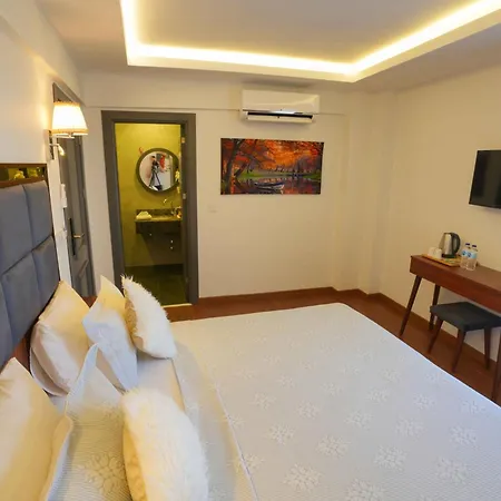 Violin Sultanahmet Hotell