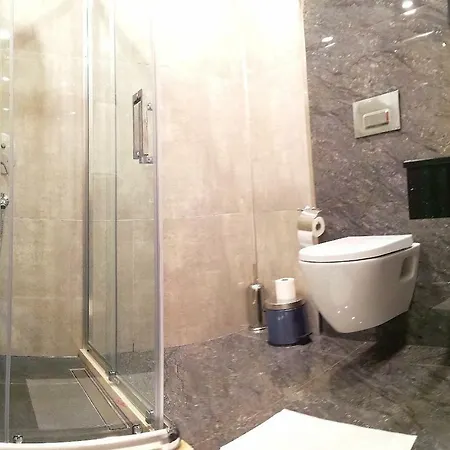 Violin Sultanahmet Hotell Istanbul